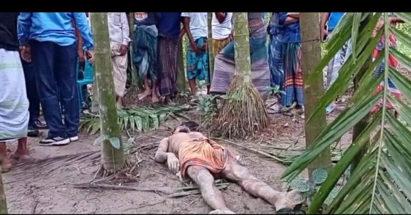 তজুমদ্দিনে চুরি করতে গিয়ে সুপারি গাছ থেকে পড়ে মাদকাসক্ত যুবকের মৃত্যু!