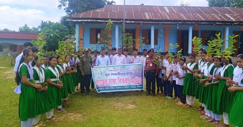 লোগাং বাজার আদর্শ উচ্চ বিদ্যালয়ে বৃক্ষরোপণ কর্মসূচি