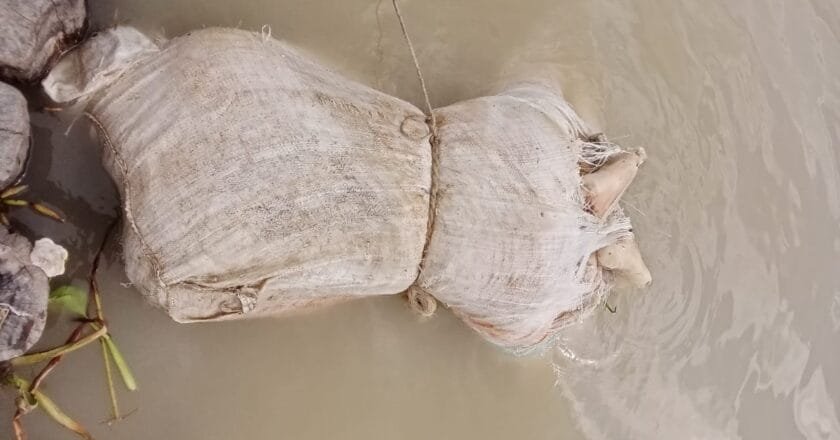 বটিয়াঘাটার কাজীবাছা নদী থেকে বস্তাবন্দী লাশ উদ্ধার