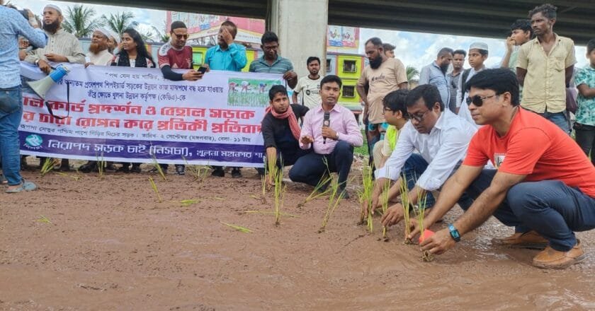 খুলনার শিপইয়ার্ড সড়কে ধানের চারা রোপণ করে নিসচার প্রতিবাদ