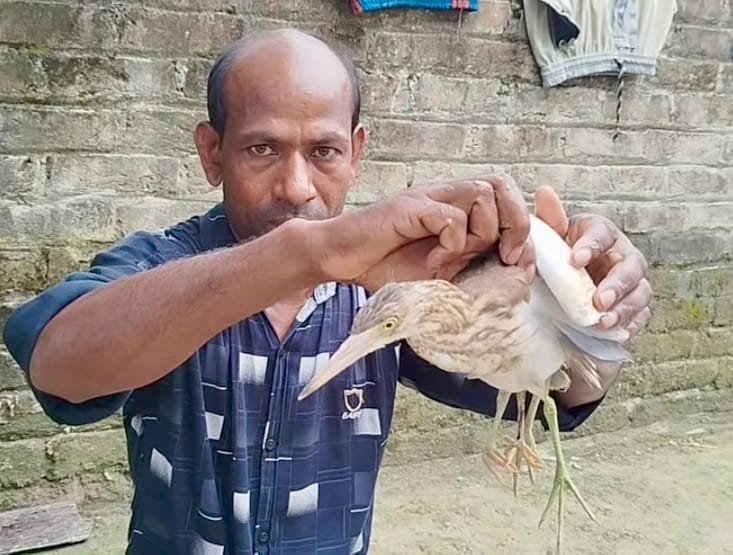 কুড়িগ্রামে চার পা বিশিষ্ট বিরল বক দেখতে মানুষের ঢল