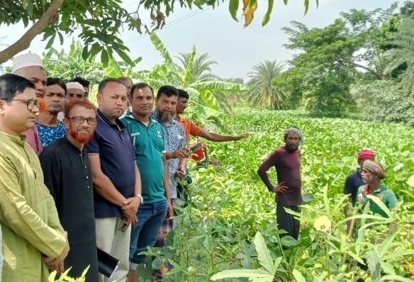 ডুমুরিয়ায় জলাবদ্ধতা নিরসনে কার্যক্রম পরিদর্শনে ইউএনও