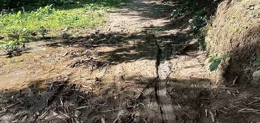 বদলগাছীতে বাস্তবে নয় কাগজে কলমে রাস্তা; দুর্ভোগে সাধারণ মানুষ