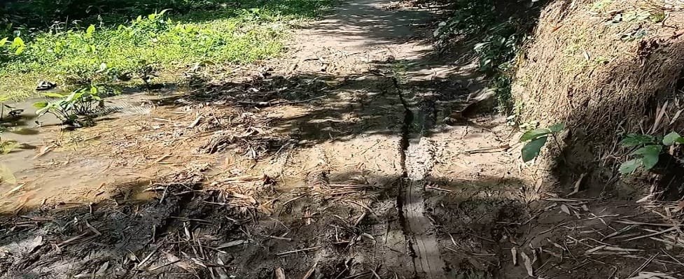 বদলগাছীতে বাস্তবে নয় কাগজে কলমে রাস্তা; দুর্ভোগে সাধারণ মানুষ