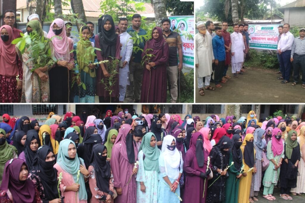 ভূরুঙ্গামারী মহিলা কলেজে নবীনদের হাতে চারাগাছ তুলে দিল স্বেচ্ছাসেবক দল
