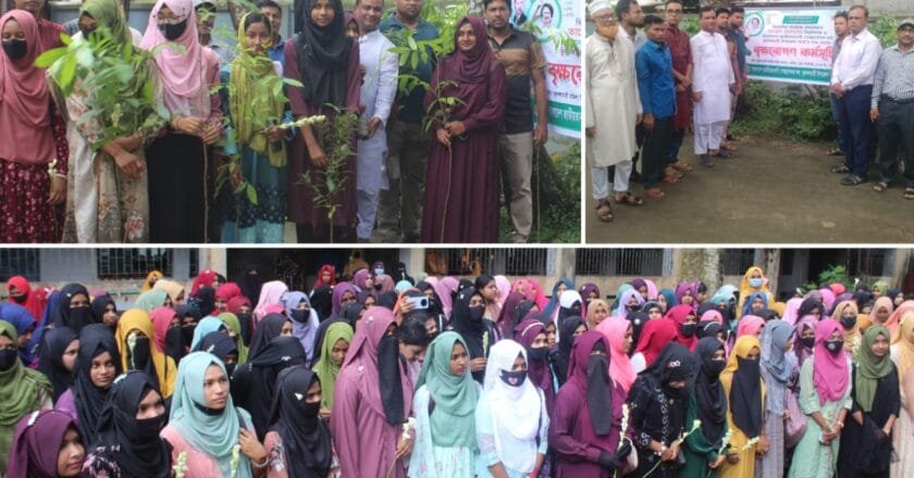 ভূরুঙ্গামারী মহিলা কলেজে নবীনদের হাতে চারাগাছ তুলে দিল স্বেচ্ছাসেবক দল