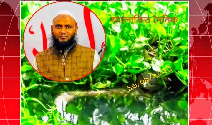 মানিকগঞ্জে নিখোঁজের ২দিন পর ডোবা থেকে ইমামের মরদেহ উদ্ধার