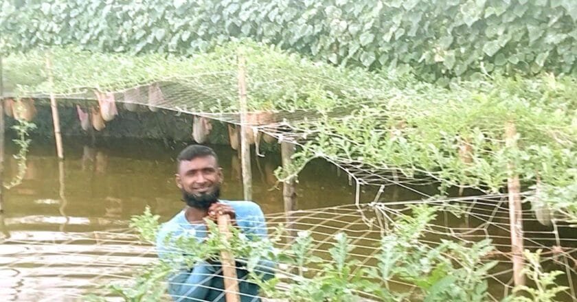 অসময়ে তরমুজ চাষ করে স্বচ্ছল বেল্লাল