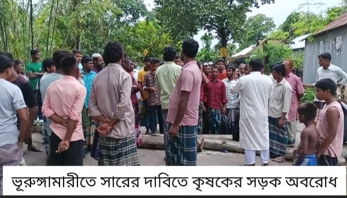 ভূরুঙ্গামারীতে সারের কৃত্রিম সংকটে বিপাকে কৃষক, নকল সারে ফলন বিপর্যয়ের শঙ্কা