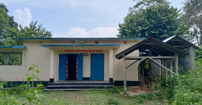 প্রাণী সম্পদ রক্ষায় বঞ্চিত পানছড়ি উপজেলা বাসী