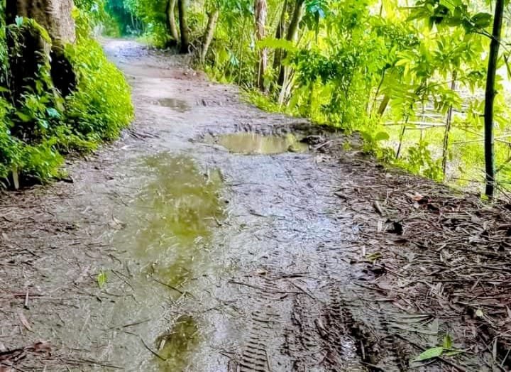 মানিকগঞ্জ সদর উপজেলার অবহেলিত জনপদ 'চৈল্যা'