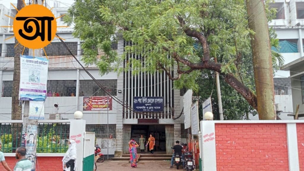 খুলনায় বেড়েছে কুকুর-বিড়ালের উপদ্রব: আতঙ্কে নগরবাসী