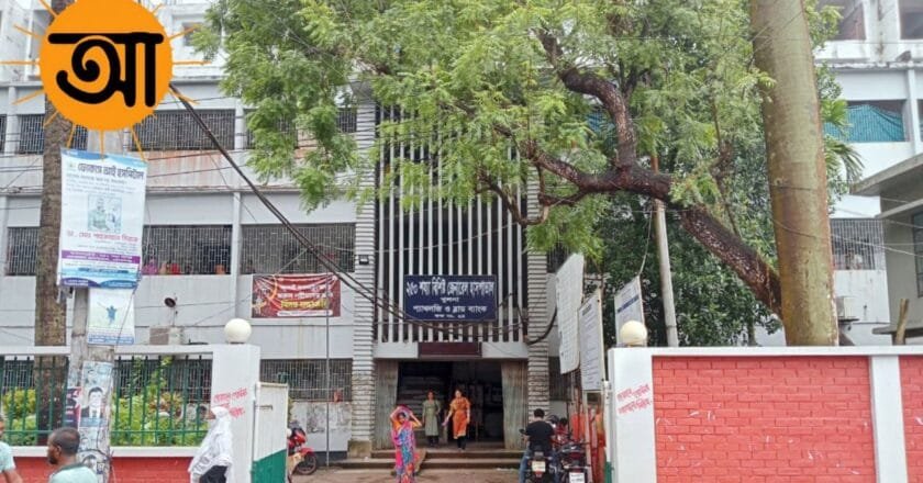 খুলনায় বেড়েছে কুকুর-বিড়ালের উপদ্রব: আতঙ্কে নগরবাসী