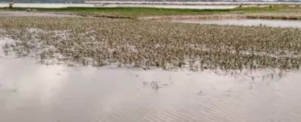 বন্যার পানি নেমে গেছে, কিন্তু রেখে গেছে ধ্বংসের চিহ্ন