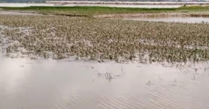 বন্যার পানি নেমে গেছে, কিন্তু রেখে গেছে ধ্বংসের চিহ্ন