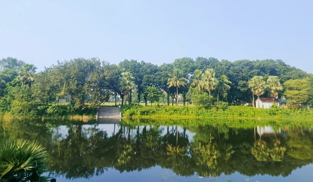 ইবির পুকুরে ডুবে যাচ্ছিল দুই শিক্ষার্থী, উদ্ধার করলেন সিনিয়র