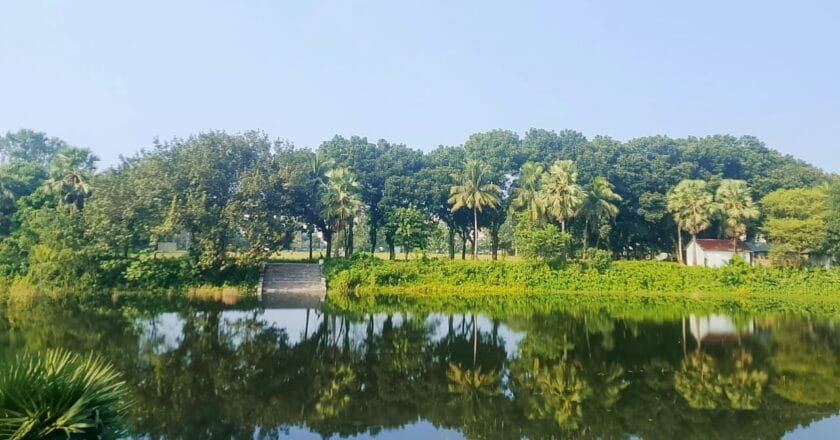 ইবির পুকুরে ডুবে যাচ্ছিল দুই শিক্ষার্থী, উদ্ধার করলেন সিনিয়র