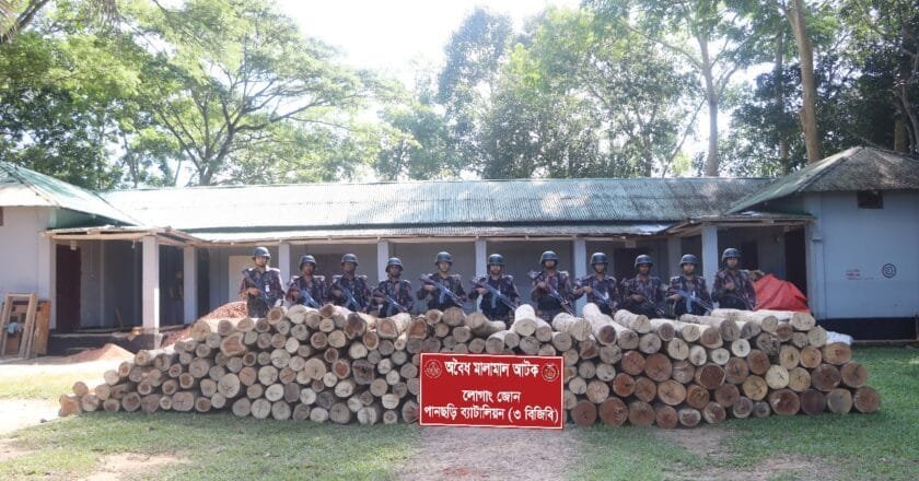 পানছড়িতে অবৈধ গোলকাঠ জব্দ করেছে ৩ বিজিবি