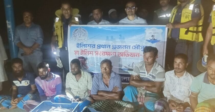 মানিকগঞ্জে মা ইলিশ রক্ষার্থে অভিযানে ৭ জেলে আটক