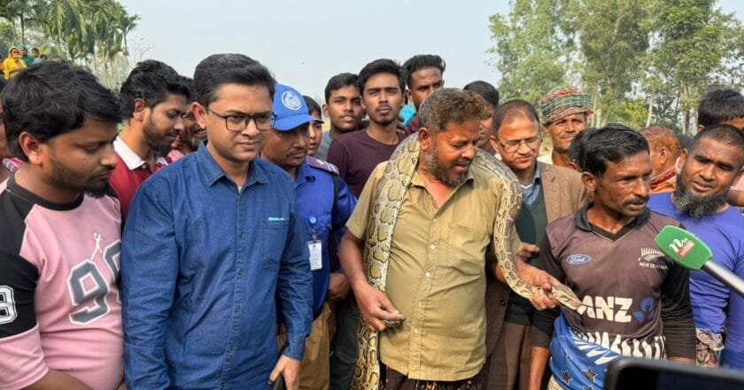 ভূরুঙ্গামারীতে ৯ ফুট লম্বা অজগর উদ্ধার নিরাপদে বন বিভাগে হস্তান্তর