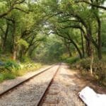 রেললাইনে দুর্ঘটনা: খুলনায় ট্রেনে কাটা পড়ে যুবকের মৃত্যু