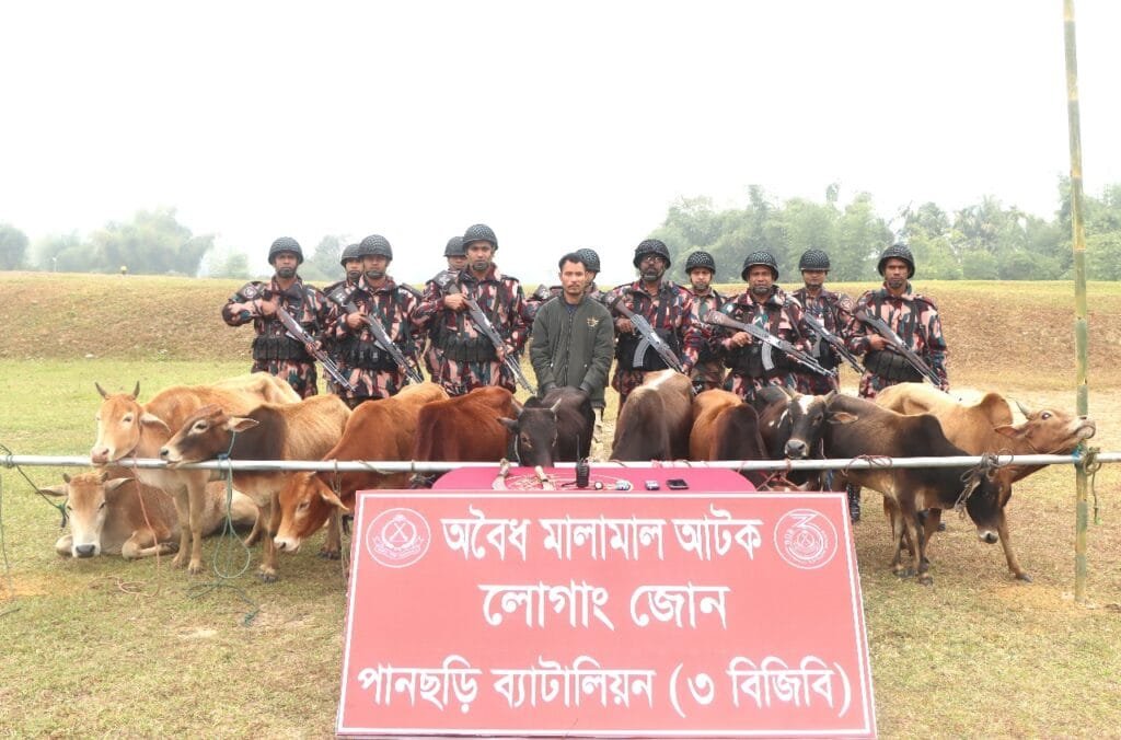 পানছড়ি সীমান্তে বিজিবির অভিযানে ভারতীয় গরুসহ আটক একজন