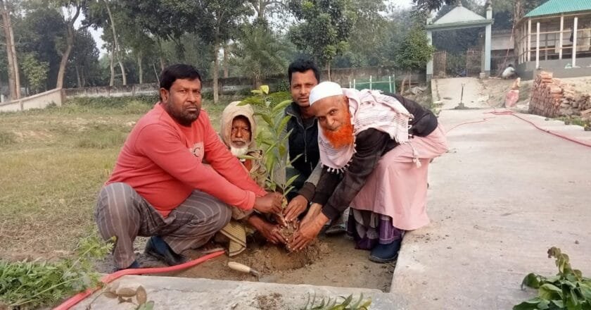 সলঙ্গায় চরবেড়া কবরস্থানের সৌন্দর্য বাড়াতে ফুলের গাছ রোপণ