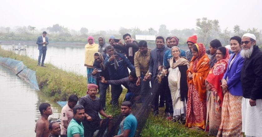 পরিকল্পিত চাষে গলদা–বাগদা চিংড়ির উৎপাদন বাড়াতে হবে: উপদেষ্টা ফরিদা