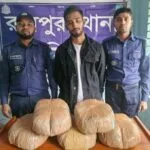 রায়পুরায় ১০ কেজি গাঁজাসহ মাদক ব্যবসায়ী গ্রেপ্তার