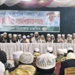 তারেক রহমানের দেশে প্রত্যাবর্তন রাজনীতির জন্য ইতিবাচক বার্তা: মামুনুল হক