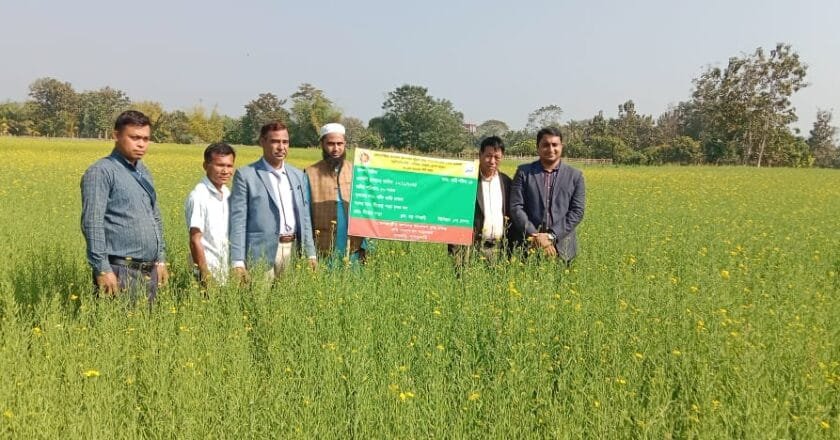পানছড়িতে সরিষা উৎপাদনে কৃষক মাঠ দিবস ও কারিগরি আলোচনা অনুষ্ঠিত