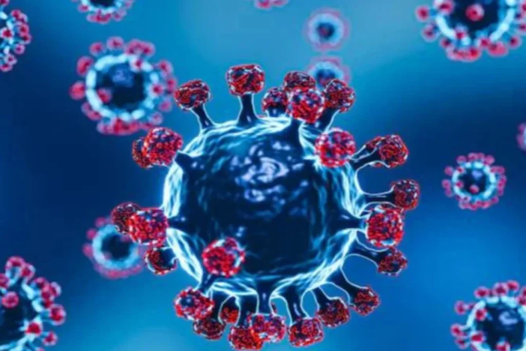 নিপাহ ভাইরাস আতঙ্কে এশিয়ায় সর্বোচ্চ সতর্কতা: বিমানবন্দরে কড়া নজরদারি