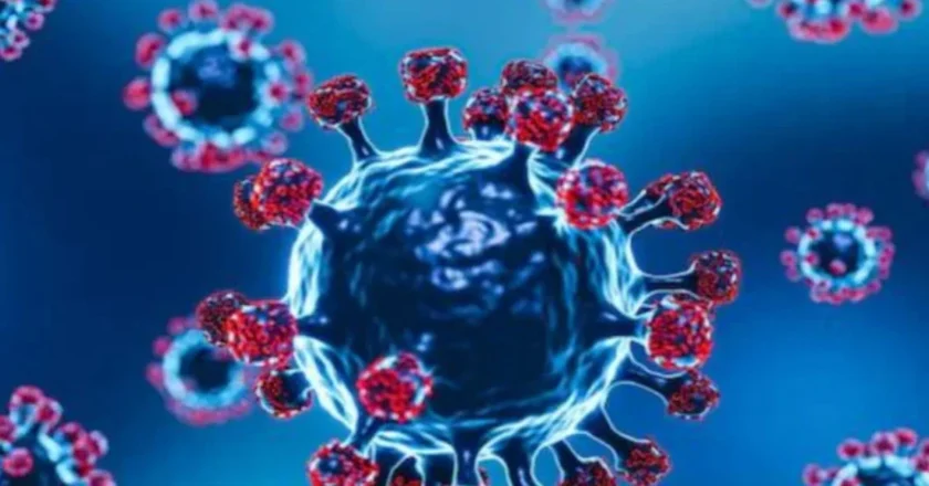 নিপাহ ভাইরাস আতঙ্কে এশিয়ায় সর্বোচ্চ সতর্কতা: বিমানবন্দরে কড়া নজরদারি