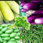 রমজানের আগে রাজশাহীতে লেবুর দাম দ্বিগুণ; খেজুর-শসা ও সবজিতেও বাড়তি চাপ