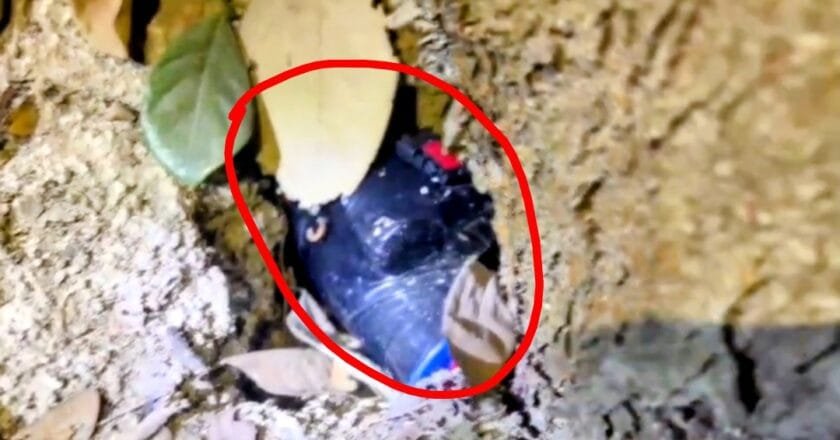 মানিকগঞ্জে যৌথ বাহিনীর অভিযানে বোমা উদ্ধার