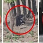 পবিত্র রমজানেও থামেনি নীতিহীনতা: দেবেন্দ্র কলেজে উঠতি বয়সী ছেলেমেয়েদের মেলামেশা