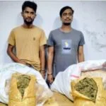 মানিকগঞ্জে ১৩ কজি গাজাসহ গ্রেপ্তার ২