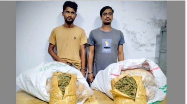 মানিকগঞ্জে ১৩ কজি গাজাসহ গ্রেপ্তার ২