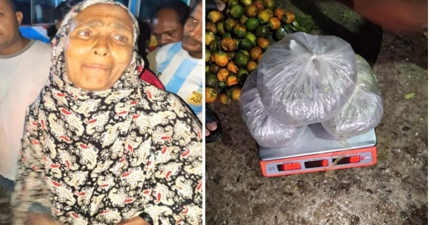 ভুরুঙ্গামারীতে পুলিশের বিশেষ অভিযানে ৩ কেজি গাঁজা উদ্ধার, নারীসহ আটক ২