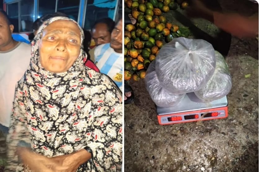 ভুরুঙ্গামারীতে পুলিশের বিশেষ অভিযানে ৩ কেজি গাঁজা উদ্ধার, নারীসহ আটক ২