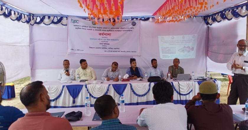 টেকনাফে বাণিজ্যিকভাবে কোরাল মাছ চাষ বিষয়ক প্রশিক্ষণ কর্মশালা অনুষ্ঠিত