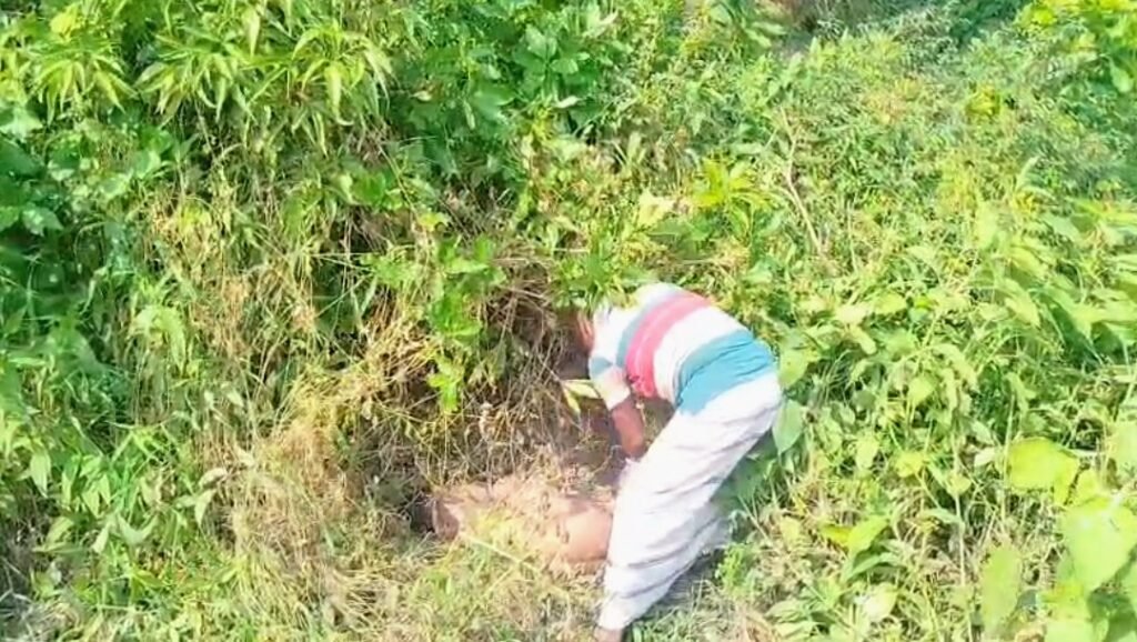 মানিকগঞ্জে রাস্তার পাশে অজ্ঞাত ব্যক্তির মরদেহ উদ্ধার