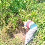 মানিকগঞ্জে রাস্তার পাশে অজ্ঞাত ব্যক্তির মরদেহ উদ্ধার