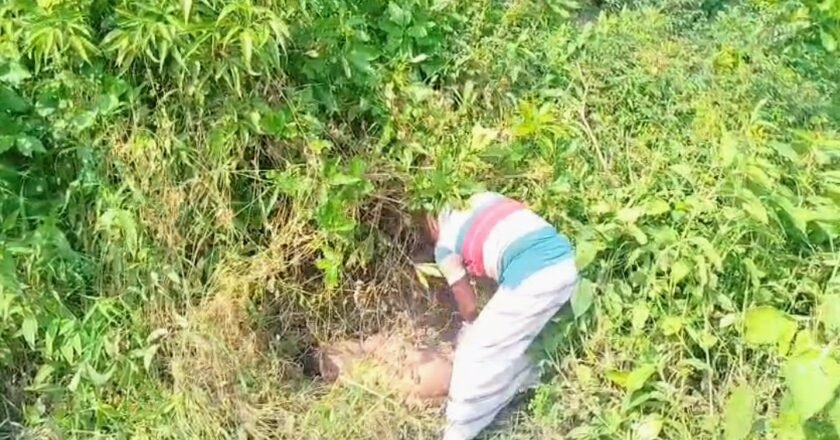 মানিকগঞ্জে রাস্তার পাশে অজ্ঞাত ব্যক্তির মরদেহ উদ্ধার