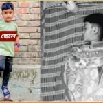 বদলগাছীতে বিষাক্ত সাপের দংশনে ৭ বছরের শিশু শিক্ষার্থীর মৃত্যু