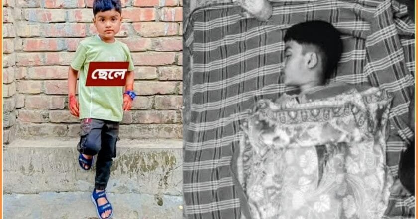 বদলগাছীতে বিষাক্ত সাপের দংশনে ৭ বছরের শিশু শিক্ষার্থীর মৃত্যু