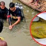 নওগাঁয় গভীর খালে হাঁস তুলতে গিয়ে নিখোঁজ, পরদিন ডুবুরিদের তৎপরতায় লাশ উদ্ধার