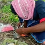 থানার অদূরেই প্রকাশ্যে দলবদ্ধভাবে মাদক সেবনের অভিযোগ, এলাকাবাসীর উদ্বেগ