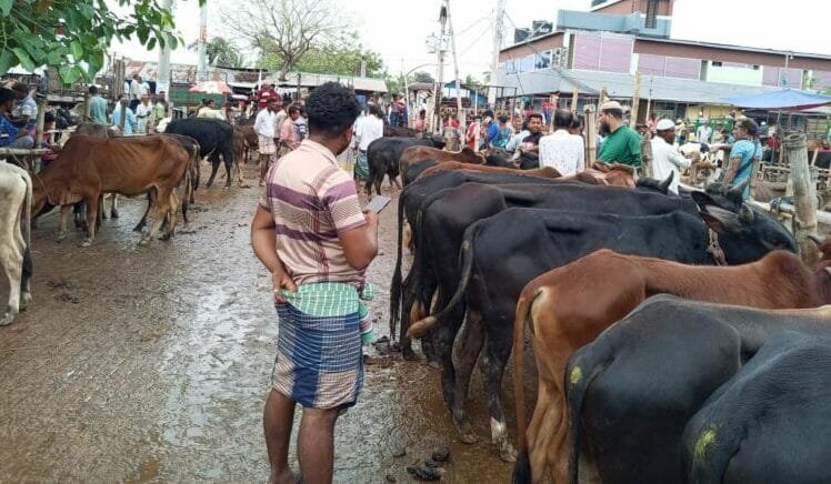 খুলনা বিভাগে কোরবানির পশুর জন্য ১৭০ হাট, প্রস্তুত ১৪২ ভেটেরিনারি টিম