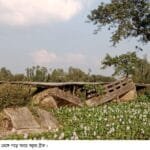 নাগেশ্বরীতে দীর্ঘদিন ধরে ভেঙ্গে পড়ে আছে কচুয়া ব্রীজ: দুর্ভোগে দুই পাড়ের মানুষ